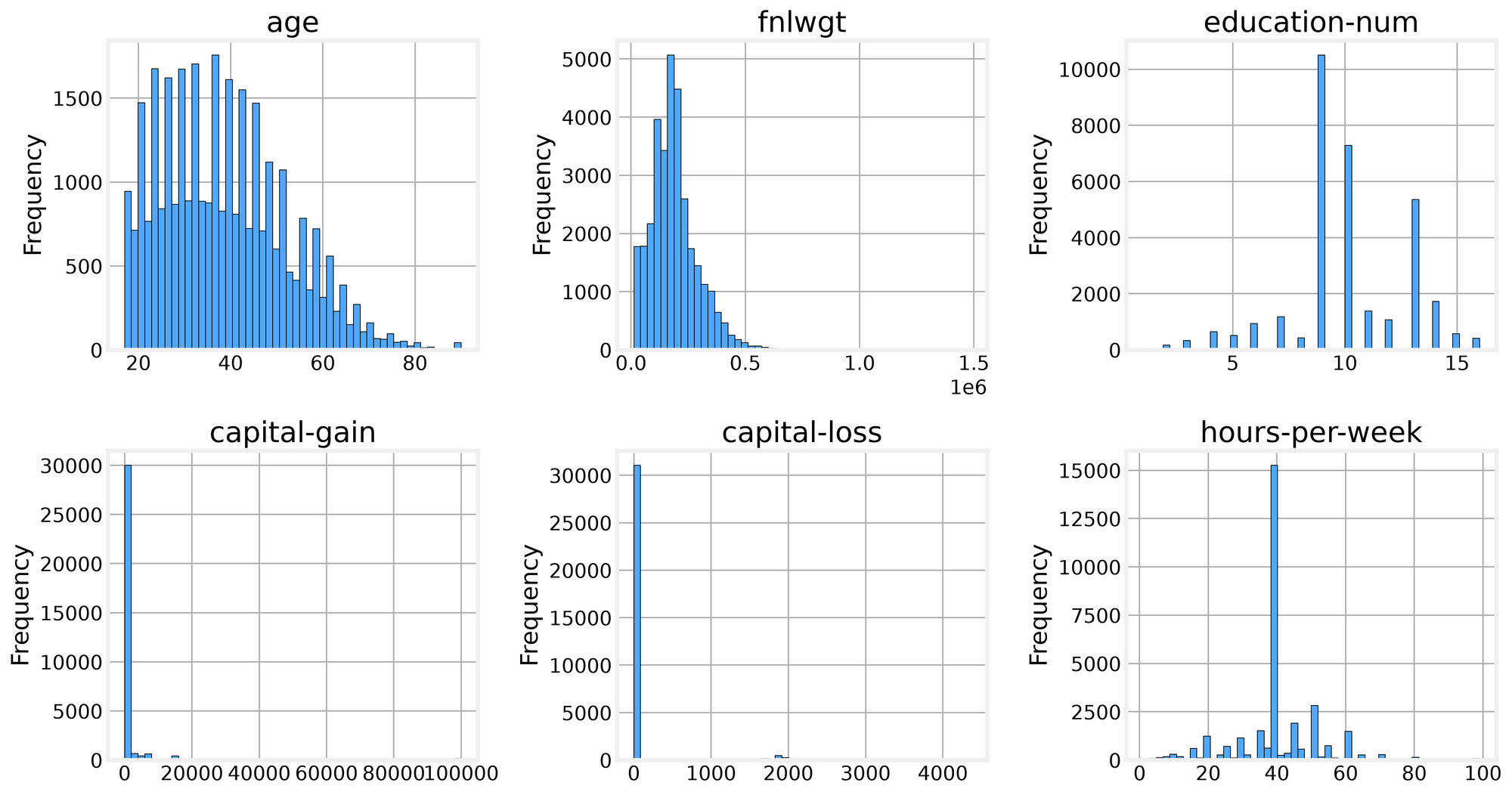 Histograms for numeric fields