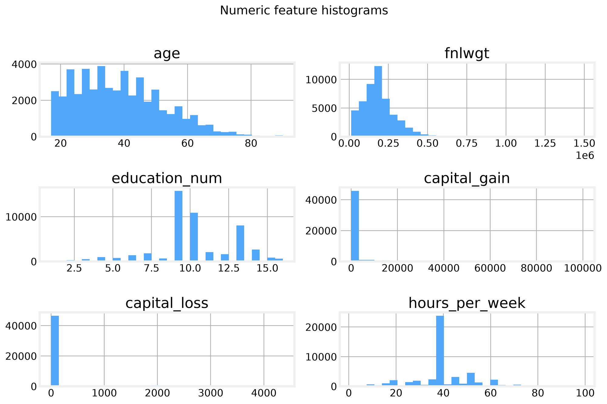 Figure 2: capital gain and loss are zero-inflated, and hours per week has a long right tail