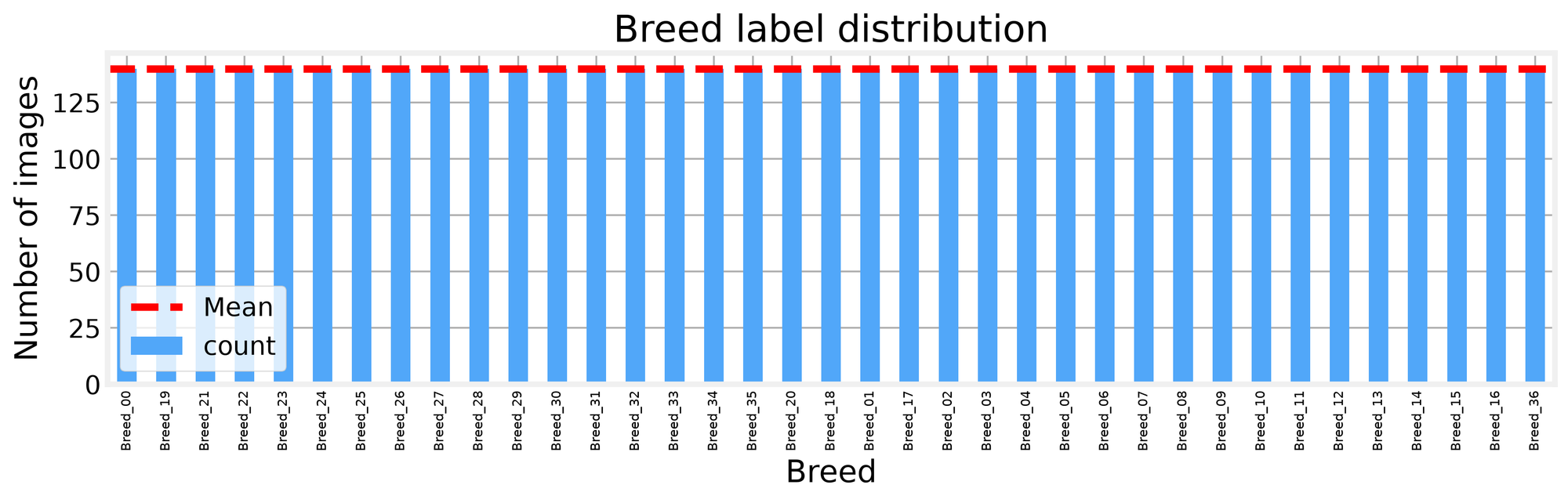 Breed label distribution across the 37 synthetic breeds, flat by construction so the subsample is balanced
