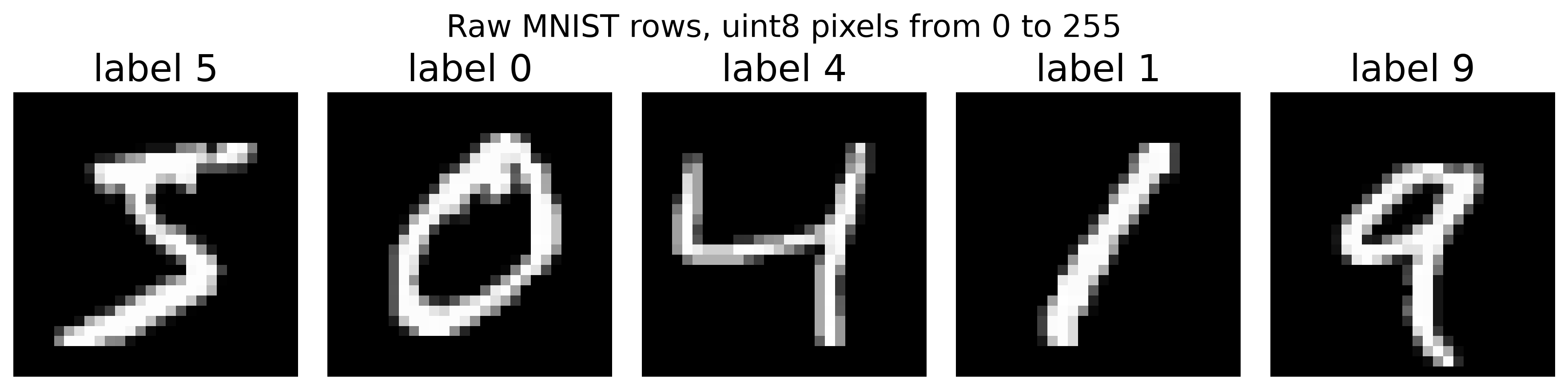Five raw MNIST rows straight from the uint8 arrays, before any scaling