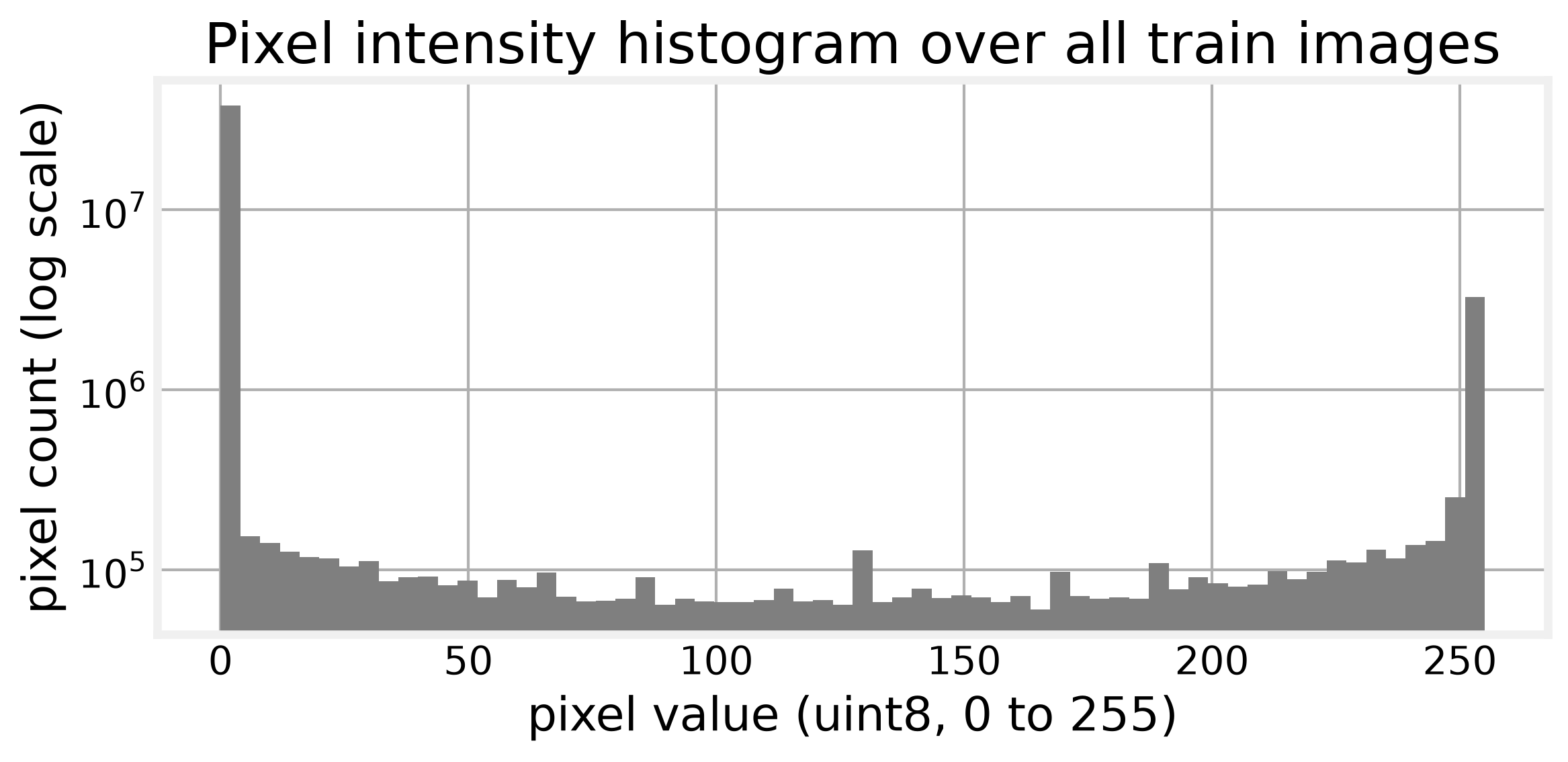 Pixel intensity histogram over all train images, log scale