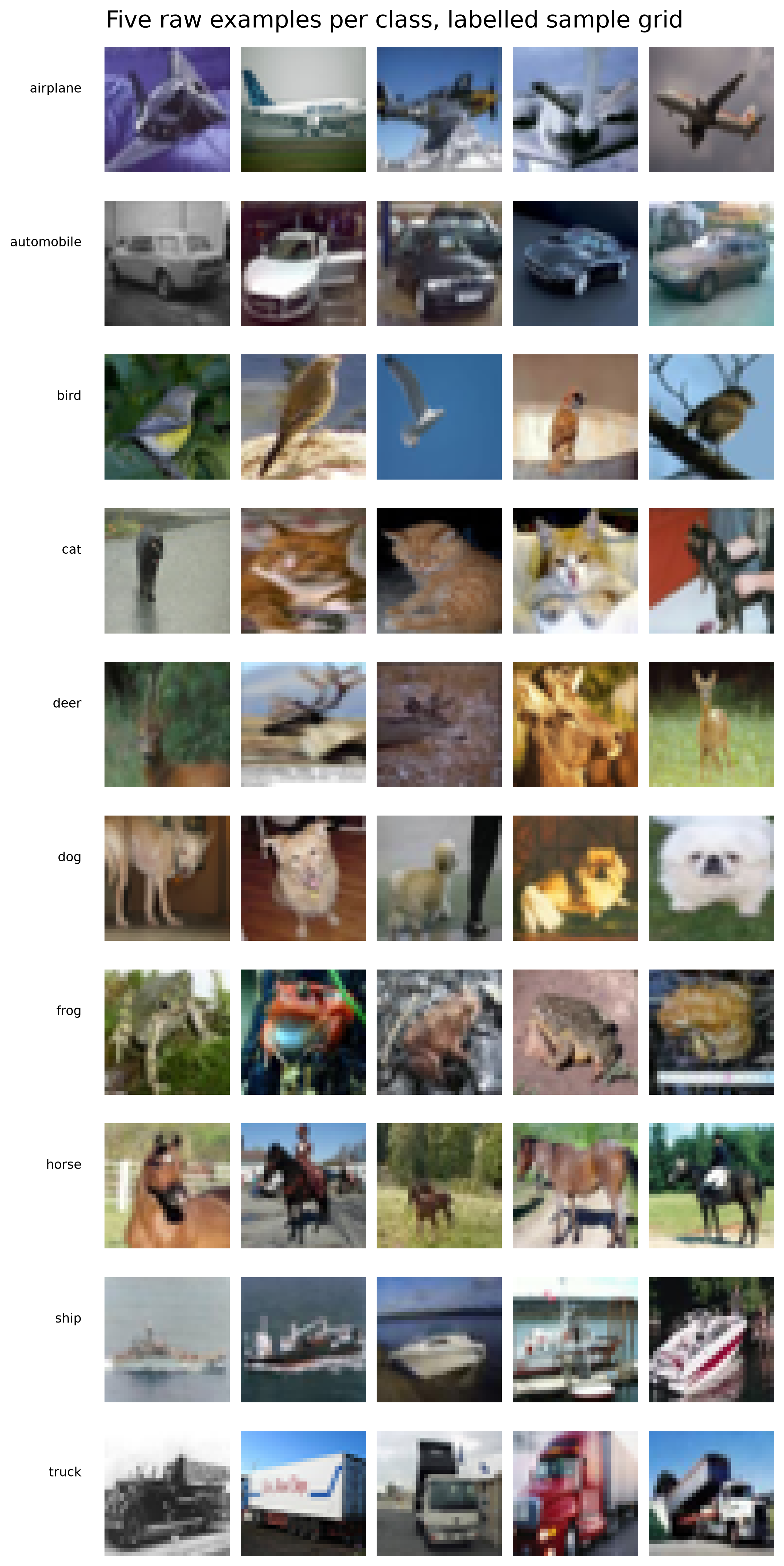 Within each class, pose, scale, and background vary widely